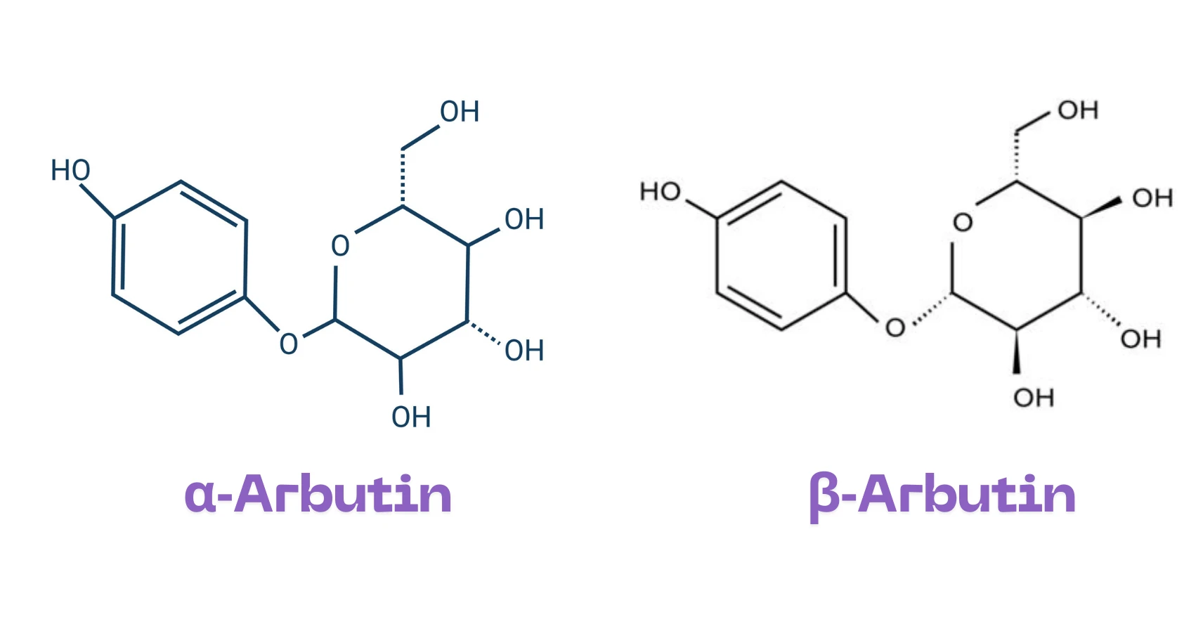 alpha arbutin vs arbutin safe brightening ingredient guide
