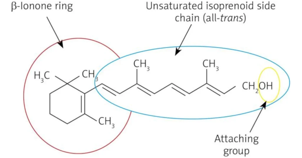 retinol chemical name