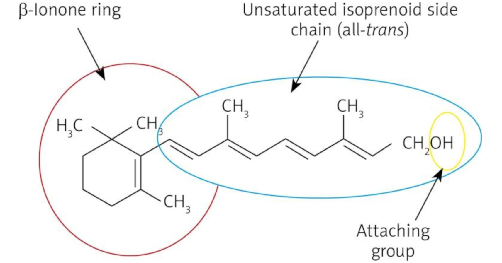 retinol chemical name