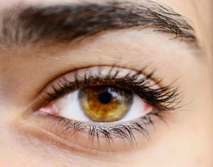 color contact lenses eye lenses